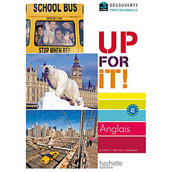 Up for it, anglais 3e découverte professionnelle - Occasion