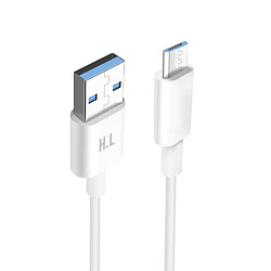 Avizar Cable Micro-USB Charge et Transfert De Données Intensité 1A Longueur 1.5m Blanc