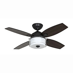 Acheter Hunter Ventilateur Central Park 107cm