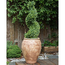 Beliani Pot de fleurs en terre cuite 48 x 55 cm marron PYRUS