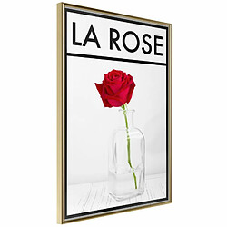 Paris Prix Affiche Murale Encadrée Rose in the Vase 20 x 30 cm Or