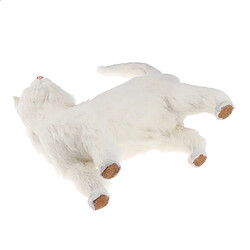 Lifelike chat chaton modèle fourrure Pet Home Decor enfants jouets cadeaux blanc