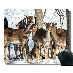 Universal (260x210x3) Tampon de souris avec bords de cerf bruns