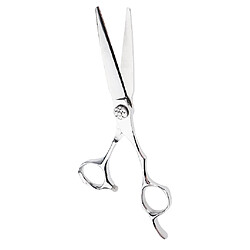 2pcs Ciseaux de Coiffure de Coiffeur de Coupe Cheveux / Ciseaux Barbier en Acier Inox Cisaille Désépaissir /Amincir/Effiler