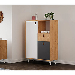 EPIKASA Armoire à Usages Multiples Pera