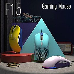 Universal Gaming Mouse Ergonomics Programming Souris (bleu)