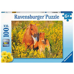 Ravensburger 100 p XXL - Poneys Shetland