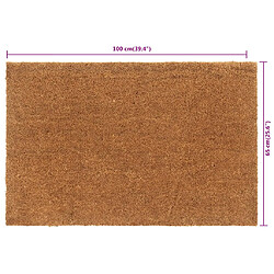 Acheter vidaXL Tapis de porte naturel 65x100 cm fibre de coco touffeté