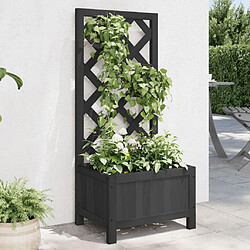 Maison Chic Jardinière,Bac à fleurs avec treillis - pot de fleur noir bois massif de sapin -GKD53907