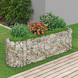 Maison Chic Jardinière,Lit surélevé - Bac à fleurs - pot de fleur à gabion Fer galvanisé 190x50x50 cm -GKD17125