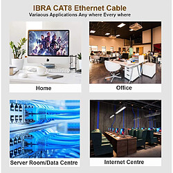 Avis IBRA Câble Ethernet Cat8 3M