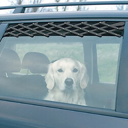 Equipement de transport pour chien