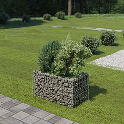 Maison Chic Jardinière,Lit surélevé - Bac à fleurs - pot de fleur à gabion Acier galvanisé 90x50x50 cm -GKD64145