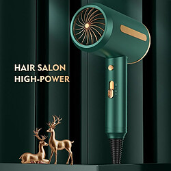 Universal Sèche-cheveux professionnel 2000W Sèche-cheveux à marteau électrique Mini-souffleur à rayons bleus à ions négatifs Sèche-cheveux à vent fort