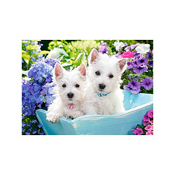 Castorland WESTIE PUPPIES