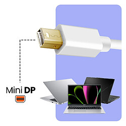 Adaptateur Mini DisplayPort vers VGA HDMI DVI Full HD 1080p LinQ pas cher