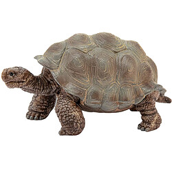 Avis Schleich Tortue Géante Série Wildlife