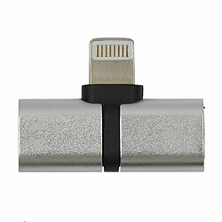 Paris Prix Adaptateur Double Audio & Chargement 2cm Gris