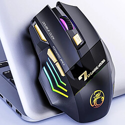 Yonis Souris Gaming Sans Fil Rechargeable RGB