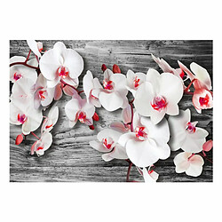 Paris Prix Papier Peint Callous Orchids 105 x 150 cm