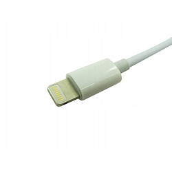 GUPBOO Adaptateur pour iPad mini 1 2 3 4 vers 2 x Lightning Cable,JL2301