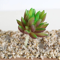 Plante Succulente Artificielle pas cher