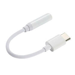 Câble d'adaptateur audio USB 3.1 type C mâle vers 3.5 mm AUX femelle pour écouteurs, blanc