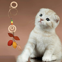 Avis Chaton Teaser Jouets