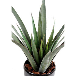 Pegane Plante artificielle haute gamme Spécial extérieur / Aloe artificielle ferox - Dim : 65 x 60 cm