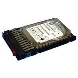 36GB SAS 10.000Rpm 2,5 inch