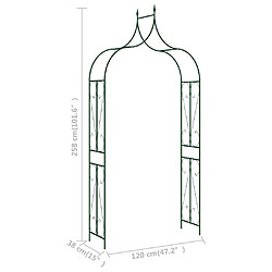 Acheter vidaXL Voûte de jardin Vert foncé 120x38x258 cm Fer