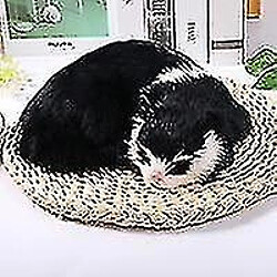 Universal 1pc mini animaux en peluche mignons - chats endormis pour le chat artisanal à la maison