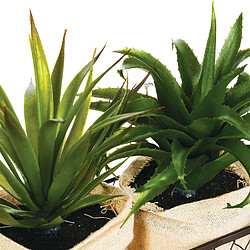 Avis Atmosphera, Createur D'Interieur 2 Aloe vera artificielles en panier