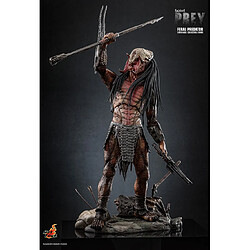 Hot Toys TMS114 - Prey 2022 - Feral Predator pas cher