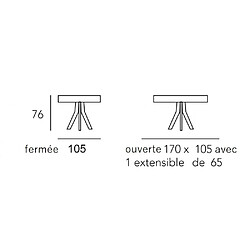 Acheter Inside 75 Table repas extensible GRETA 8 couverts 105/170x105cm pied bois clair plateau chêne