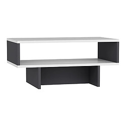 Helloshop26 Table basse avec espace de rangement 36,4 x 80 x 45 cm blanc / anthracite 03_0008468