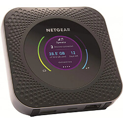 Box domotique & passerelle Netgear