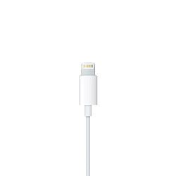 Acheter Apple EarPods avec connecteur Lightning - MMTN2ZM/A