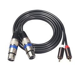 Wewoo 366156-15 Câble audio RCA mâle à 2 XLR à 3 broches femellelongueur 1,5 m