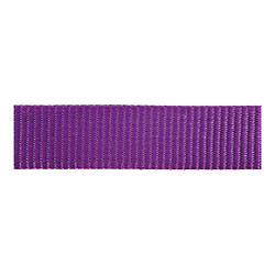 Laisse pour Chien Red Dingo Violet (2,5 x 200 cm)