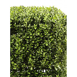 Pegane Plante artificielle haute gamme Spécial extérieur, Buis carré artificiel couleur vert - Dim : 50 x 32 x 32 cm