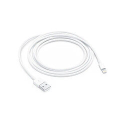 Apple Câble Lightning vers USB-A 2.0 Charge et Synchronisation 2m Blanc