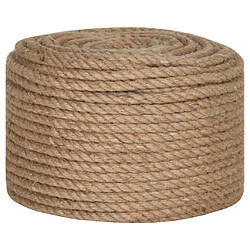 vidaXL Corde 100 % jute 10 mm 250 m