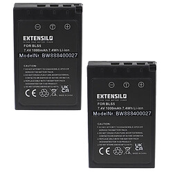 Vhbw EXTENSILO 2x Batteries compatible avec Olympus OM-D E-M10 II, E-M10 appareil photo, reflex numérique (1000mAh, 7,4V, Li-ion) avec puce d'information