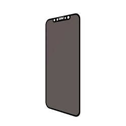 PanzerGlass Panzer Glass Protection d'écran pour Apple iPhone 11 / XR avec Filtre de Confidentialité Noir