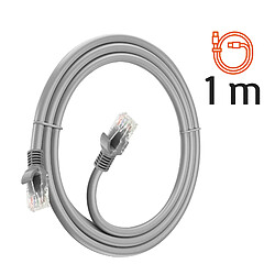 Câble Réseau Ethernet RJ45 Catégorie 6 Connexion Rapide Fiable 1m LinQ Gris pas cher