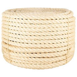 vidaXL Corde 100 % sisal 20 mm 25 m