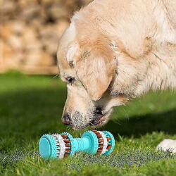 Avis Jouet pour chien Indestructible Jouet à mâcher pour chien en caoutchouc naturel Jouet interactif distributeur de croquettes pour chien pour les chiens de petite et moyenne taille Nettoyer les dents.