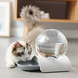 Universal Distributeur d'eau à bulles automatiques pour chat distributeur d'eau à gravité distributeur de bol pour chien éleveur fontaine de boisson grande capacité 2.8L | Fournitures d'alimentation pour chat