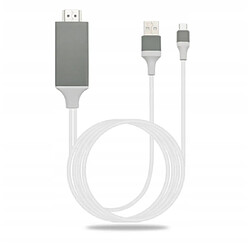 GUPBOO Adaptateur Lightning Câble HDMI FHD USB iPhone iPad,JL88